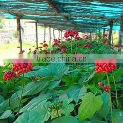 Changchun Jinsheng Zhuoyu Trading Co., Ltd. company overview - view 1 thumbnail