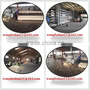 Full Poplar Lvl Plywood for Packing and Best Slat Poplar Lvl for North Korea thumbnail-5