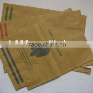 Mango Fruit Growing Paper Bag thumbnail-1