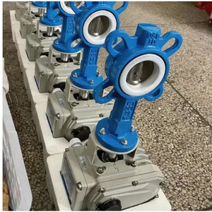 H41 Type PTFE/PFA/FEP Lined Lift Through Way Check Valve thumbnail-1