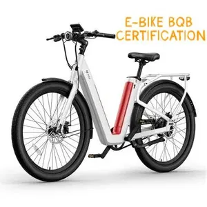 What Documents & Lead Time Are Required for E-bike BQB Certification? thumbnail-1