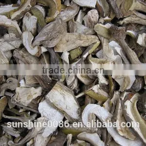 Wild Boletus(porcini) Edulid From Yunnan thumbnail-2