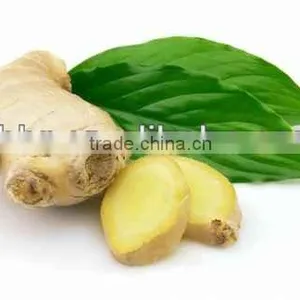 2014 New Dried Ginger Price thumbnail-1