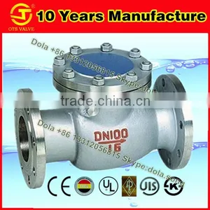 CV-DS012 EN/DIN Pn10/16 WCB/stainless Steel Swing Check Valve thumbnail-1