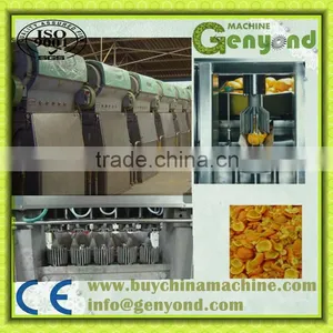 Cup Squezzing Orange Juicer Machine thumbnail-3