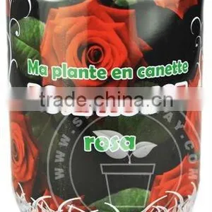 Rose Seeds in Can thumbnail-1