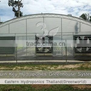 Greenhouse thumbnail-1