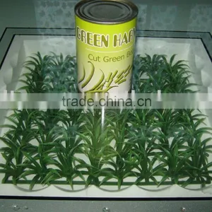 Cut Green Beans(fresh) thumbnail-1