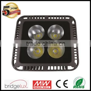 200w COB High Lumen Bridgelux Waterproof Ip65 Outdoor LED Flood Light thumbnail-1
