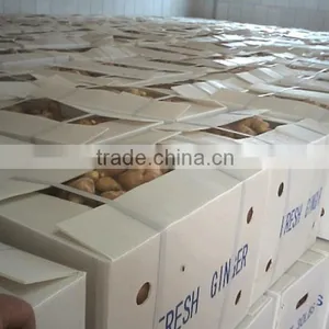 Premiun&selected Ginger thumbnail-1