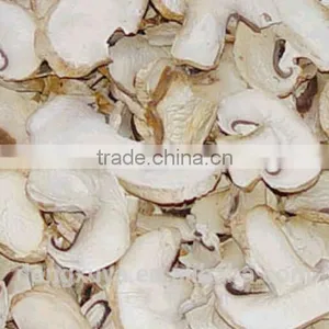Industrial Microwave Tunnel Mushroom Drying Machine/mushroom Dehydrator thumbnail-5