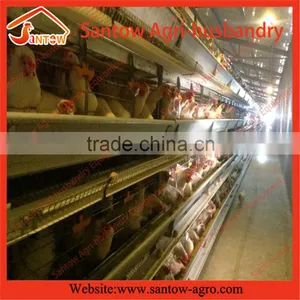 Stable Steel Structure Professional Chicken Egg Layer Cage Egg Layer House Design thumbnail-4