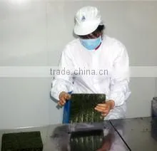 Nantong Sinfo Food Co., Ltd. company overview - view 2 thumbnail