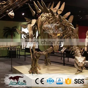 OA2258 Fiberglass Skeleton Model Dinosaur Skull Replica for Sale thumbnail-5