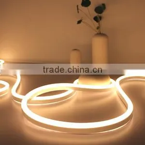 2700K Led Neon 240V 120V 24V 12V thumbnail-5
