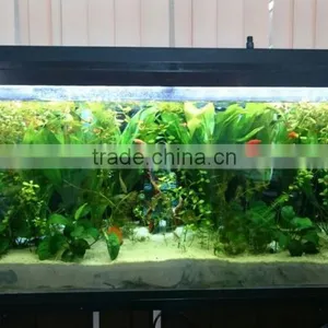 Dropship Wholesaler Freshwater Aquarium Led White Dsuny Led Aquarium Light Programmable Fresh Fish Water Planr thumbnail-5