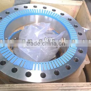 High Quality SS 316L Pipe Flange thumbnail-1