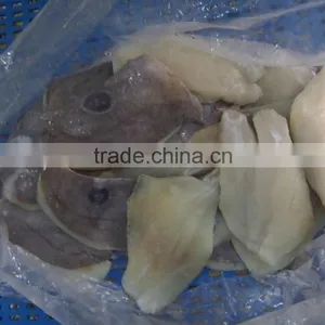 Newly Catch John Dory Fillts thumbnail-2