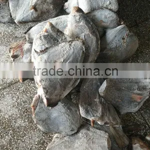Frozen Black Moon Fish Whole Round or HGT thumbnail-3