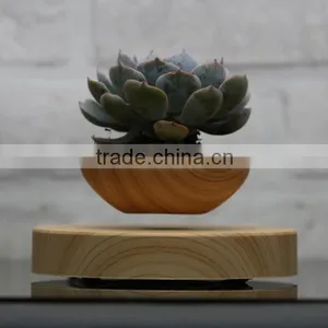 Maglev Unique Floating Air Plant Pots 2016 thumbnail-2