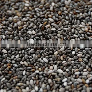 SALVIA HISPANICA SEED thumbnail-3