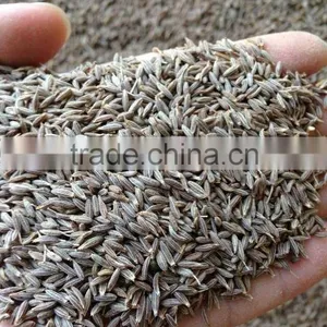 Cumin Seed thumbnail-2