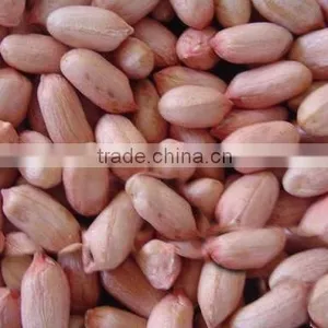 Best Price New Crop Raw Peanut thumbnail-1