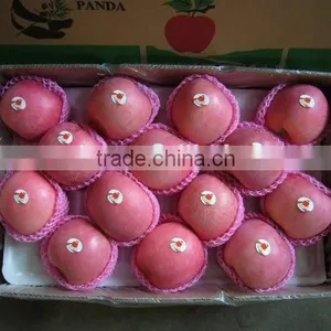 Fresh Fruit Fuji Apple thumbnail-1