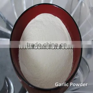 Single Spices Fresh Granulated Garlic thumbnail-1