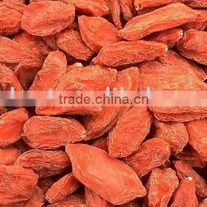 Goji Berries thumbnail-1