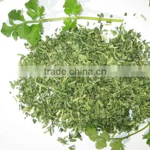 Innovative Chinese Products Coriander Buy Wholesale Direct From China thumbnail-4