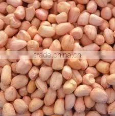 Ground Nut thumbnail-1