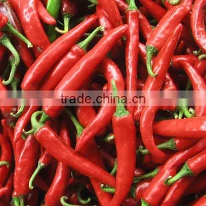 FRESH/DRIED CHILI 2016 CROP (trangnt@kego.com.vn thumbnail-1