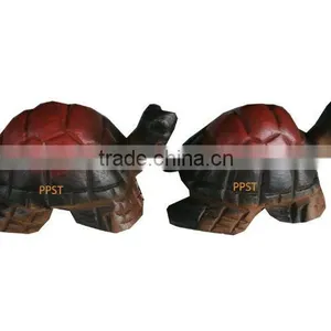 Wood Turtle thumbnail-1