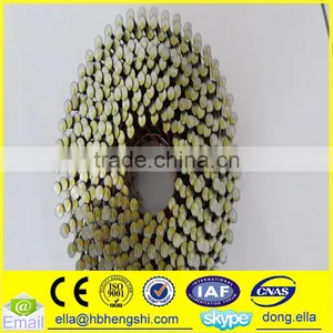 Industry Use Cheap Stainless Steel Coil Nail thumbnail-1