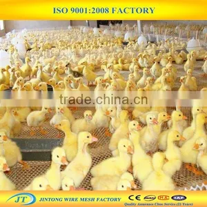 Wholesale Price Plastic Fencing Net for Flowers thumbnail-6