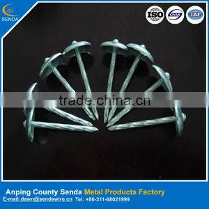 Umbrella Head Nails From Anping / Corrugated Roofing Nails thumbnail-1