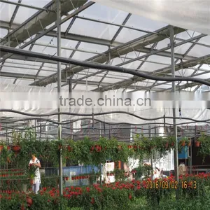 AL Frame PE Material Greenhouse Made in China thumbnail-1