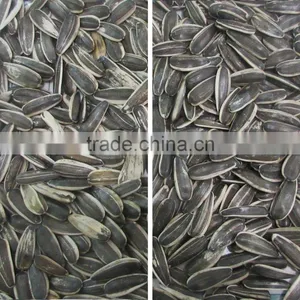 Multifunctional CCD Camera Sunflower Seed Color Separator thumbnail-5
