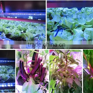 MarsHydro Waterproof ETL Certificated Led 60 Cm/120 cm Grow Bar thumbnail-3