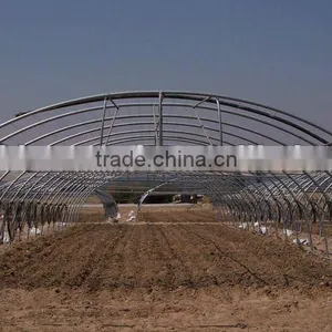 Vegetable Tunnel Greenhouses For Sale thumbnail-1