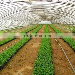 China Supplier Tomato Plastic High Tunnel Greenhouse thumbnail-2