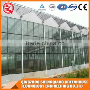 Multi-span Agriculture Glass Greenhouses Control Systems for Sale thumbnail-4