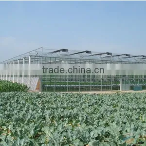 Hot Sale Glass Greenhouse Shade Green House Design thumbnail-1