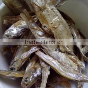 Dried Frozen Fish thumbnail-1