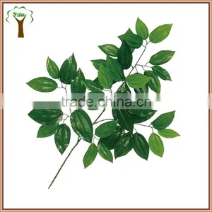 Artificial Cassia Tree Branch and Leaf thumbnail-1