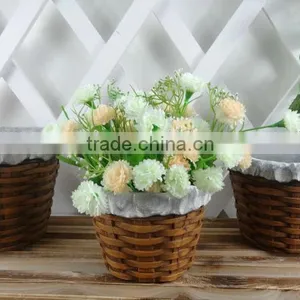 Indoor Flower Pots thumbnail-1