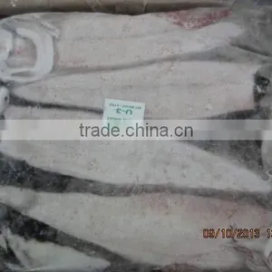 Squid Whole thumbnail-3