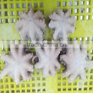 Fresh Frozen Cleaned Baby Octopus Flower Type thumbnail-2