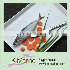 Frozen Pacific Horse Mackerel Whole Round Fish thumbnail-1